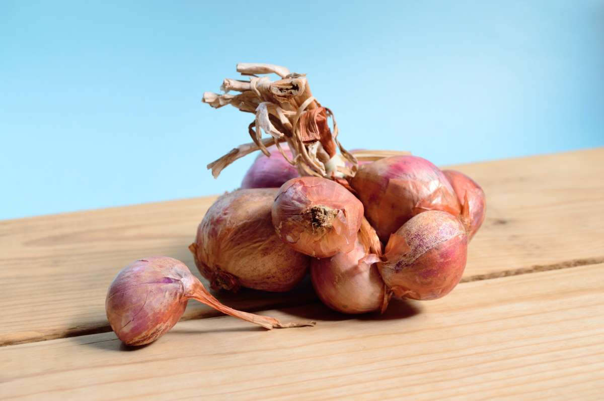 A bunch of onions to show how DIY onion oil can be used for hair growth.