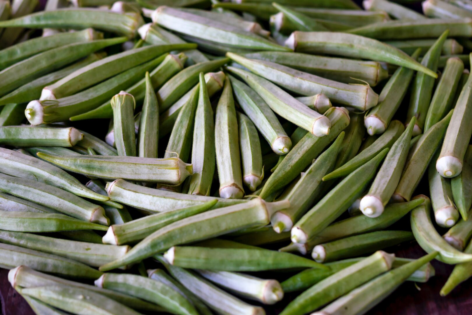 Okra plants on a table show how to make DIY okra gel for hair.